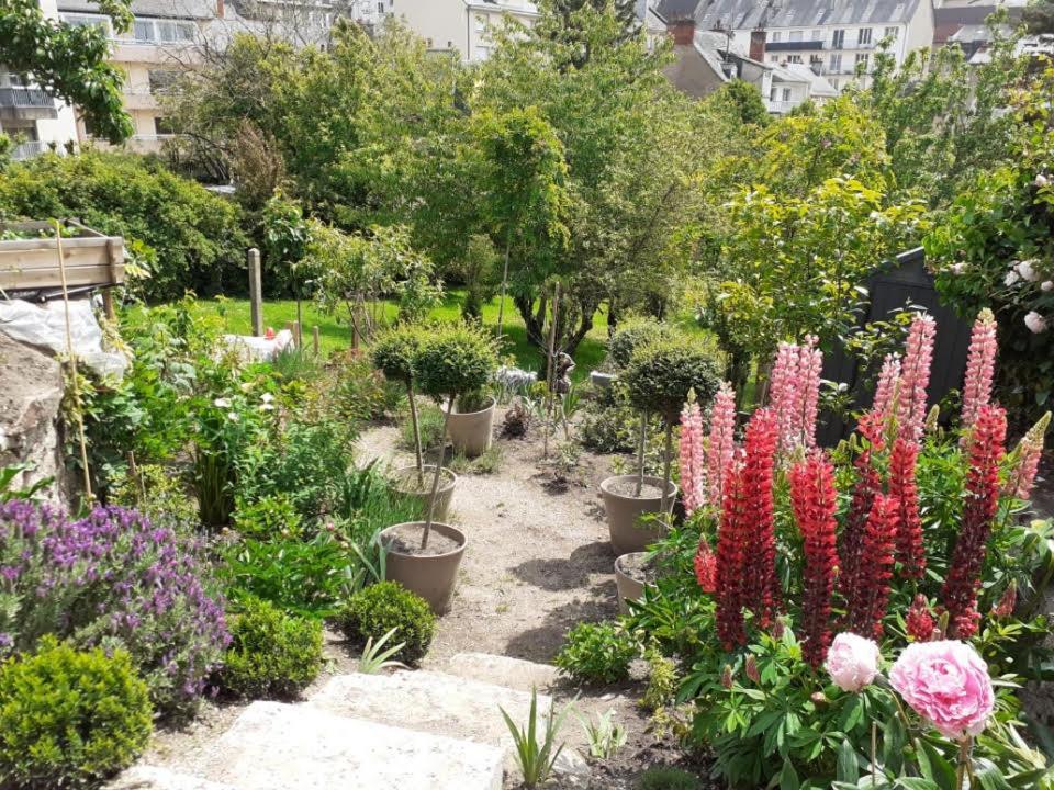 Havre De Paix Appartement Rodez Buitenkant foto